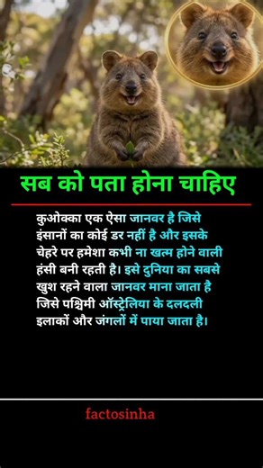 Best success business motivation |#success #healthyfood