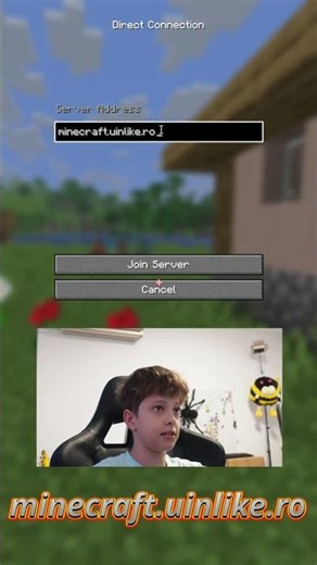 minecraft.uinlike.ro