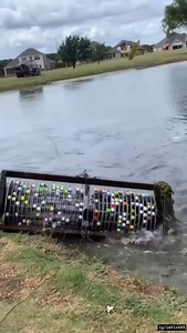 Golf ball | Suhana Queen