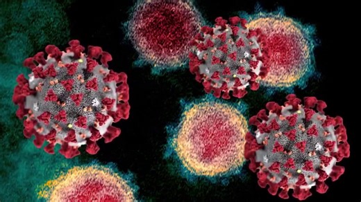 A new COVID variant has been detected in Florida