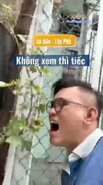 #ThaiTamHouse #tanphu #batdongsan #vuive #nhapho #nhaphotanphu #bannhatanphu #nhadattanphu #xuhuong