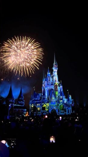 Happily Ever After Fireworks 2026 (Part 4) | Magic Kingdom 🎆| Florida 🌴#disney #florida #usa