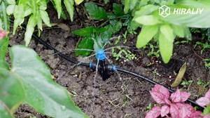 HIRALIY Misting Cooling System with Timer, 50FT Misting Hose+Brass Nozzles+3/4" Brass Adapter+Water Timer with Mist Mode & Irrigation Mode, Outdoor Misters for Patio Cooling and Garden Watering