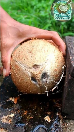 Amazing technique Cutting coconut shells