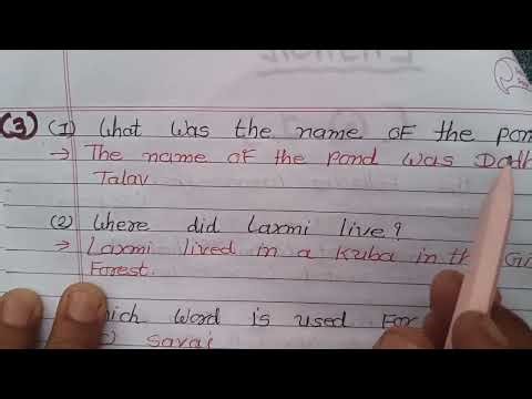 STD-7 assignment solution