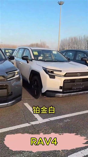 New 2026 RAV4 Woodland 2.0– China's Best-Kept Secret #RAV4 #Woodland #ToyotaSUV