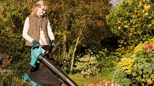 Bosch Laubsauger ALS 25