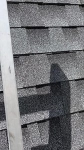 1K views · 13 reactions | Part 1 - Raccoon and kit removal and...