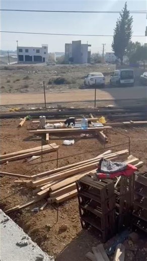 Construction Site Dog Became the Boss 🐕🏗️ #construction #shorts #engineering #satisfying #concrete