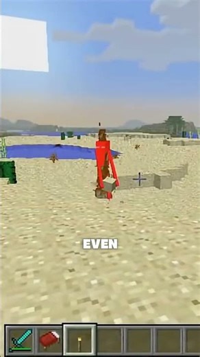 Minecraft Beta Was Actually Crazy