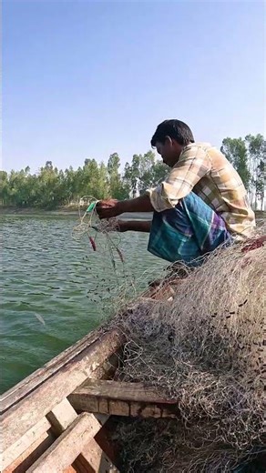 Catching Monster Catfish with Traditional Hand Nets! #fishing #fish #catfish