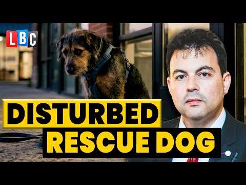 Pet Insurance: why isn't my dog's anxiety covered [LBC Legal Hour]