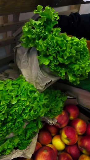 Exploring Fresh Produce: A Market Adventure