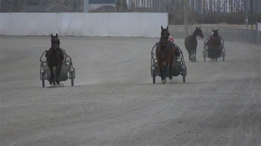 New season of harness racing begins at Century Downs