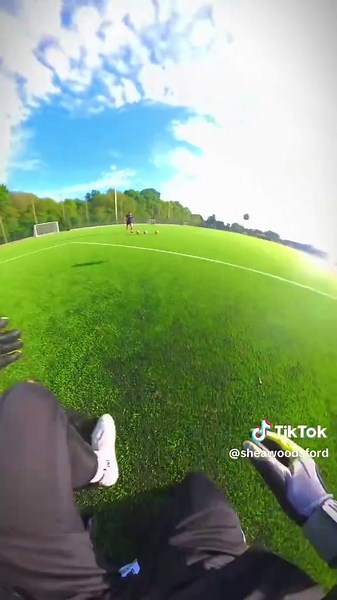 sheawoodsford on TikTok