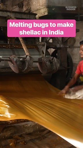 8M views · 44K reactions | This natural resin, called #shellac, is made from melting bugs. #India #resin | Insider | Facebook