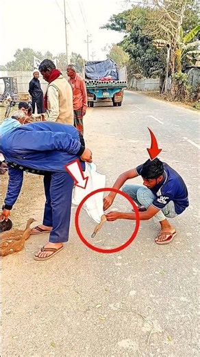 The Advanced Duck-Stealing Technology 😂