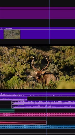 Monty Cain on Instagram: "Behind the scenes of the intro to the latest YouTube video. There are over 25 different sound and video effects in this short 35 second intro which are all meticulously placed to creative the most immersive experience for the viewer. I am proud to have filmed/edited this hunt and share it with y’all. Go check out the full hunt video to watch these desert bulls bugling at the top of their lungs and @williewaldrip_ putting the smack down on a big ole West Texas Bull Elk. 