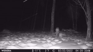 36MP 1920P Trail Camera, Game Camera with Night Vision Motion Activated 0.2s Trigger Time 120° Wide Sensor Deer Cam Waterproof with 2'' LCD for Outdoor Wildlife Monitoring