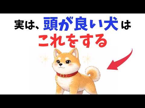 【当てはまったら天才】頭が良い犬ほどやっていること