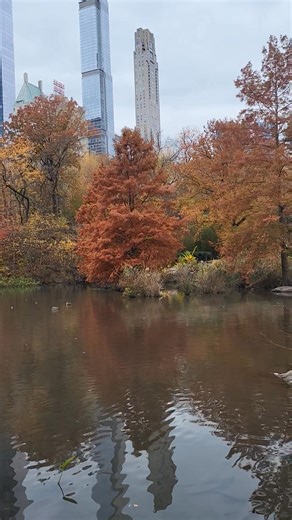Beautiful fall day in Central Park. | Baba Sam Shelley