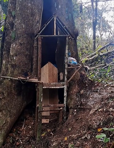 69K views · 1.3K reactions | Solo camping heavy rain# sleep well in big wooden cabin# | Survival Bushcraft | Facebook