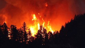 3 months. 50,000 acres burned. What happened? Wildfire, a new podcast from REI, investigates the controversial and devastating Eagle Creek Fire. Listen now: https://stitcherapp.com/2K0KLFO | Stitcher