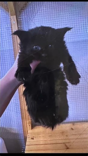 13 de febrero de 2026