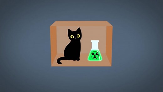 Paul Explains Schrödinger’s Cat