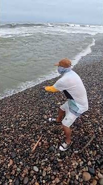 Sea teeming with fish! They cast their net and experience an unforgettable catch