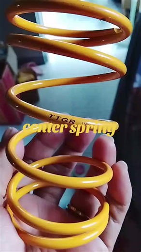 Affordable Center Spring for Quality Performance