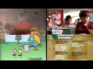 PTV Park Program Break #20 (KDIN-TV 1998)