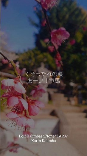 カリンバ kalimba くそったれの涙 おーい！竜馬 坂本龍馬 勝海舟 小山ゆう 武田鉄矢 大田区立勝海舟記念館