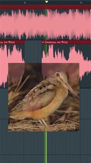 ЗНАЕШЬ ЛИ MEEP🤷🤷🤷