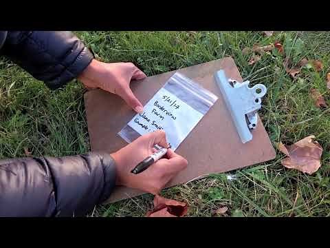 Step by Step Instruction on How to Take a Soil Sample for Analysis