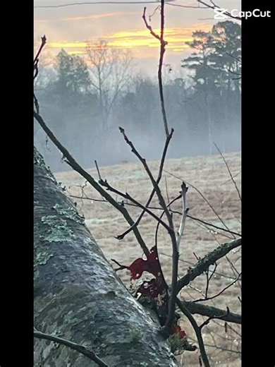 People don’t understand why we like it so much #hunting #outdoors