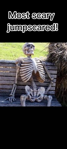 🚨warning🚨! scary jumpscares!!!!👻