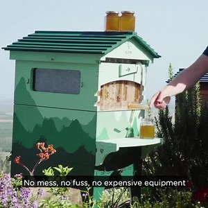 46 reactions · 14 shares | This Australian invention has changed beekeeping forever. From a record-breaking crowdfunding campaign to over 100,000 Flow Hives now in use around the world. Experience the magic of harvesting honey straight from the hive. Learn what you need to get started  https://go.honeyflow.com/pages/lp-fb | Flow Hive | Facebook