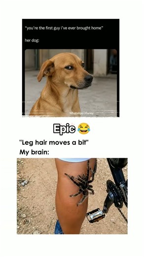 Memes of the year 😂 #funnymemes #viral #youtubeshorts