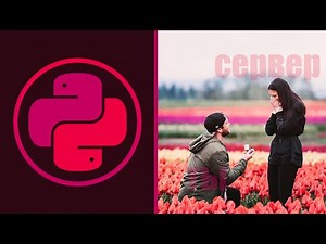 ВВОДНЫЙ УРОК ПО REQUESTS | Python 3, Питон 3