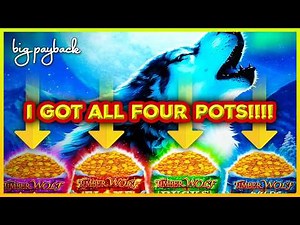 FOUR POT MEGA FEATURE! Timber Wolf Mega Power Slots!