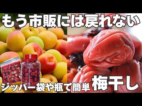 [Foolproof] How to Easily Make Umeboshi in Bags or Jars | Including Drying and Storage Methods
