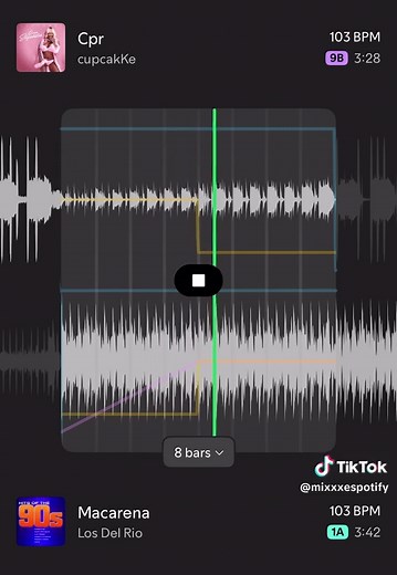 CPR x Macarena #cupcakke #cpr #macarena #spotify #spotifymix | CupcakKe Concert