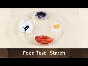 Food Test - Starch | DIY Science | ThinkTac