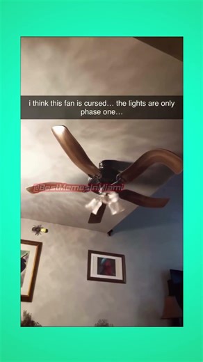Why did this ceiling fan turn into a flower🥀🥀🥀🥀🥀🥀🥀🥀🥀#bestmemesinmiami #funny #funnymemes #memes #fan
