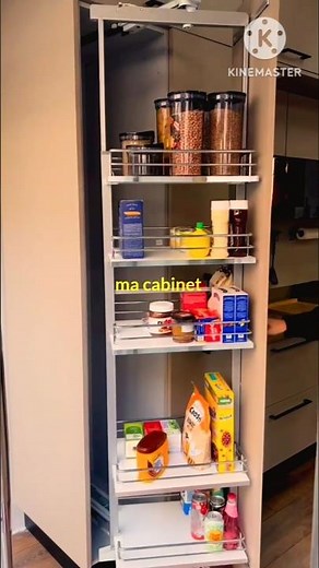 Modern Pull-Out Pantry Cabinet | Smart Kitchen Storage Idea 2025