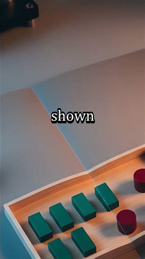 Solving The Mystery of Animal Language: Can We Really Talk To Other Minds On Earth? #3