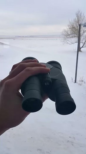 Canon IS iii binoculars quick demo