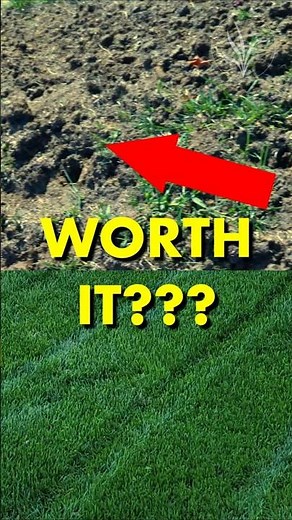 Is Core Aeration Worth It? #howto #lawncare #lawn #lawngoals #turf