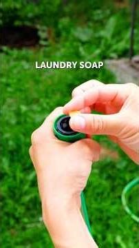 Amazing hacks to reduce garden pests and parasites!